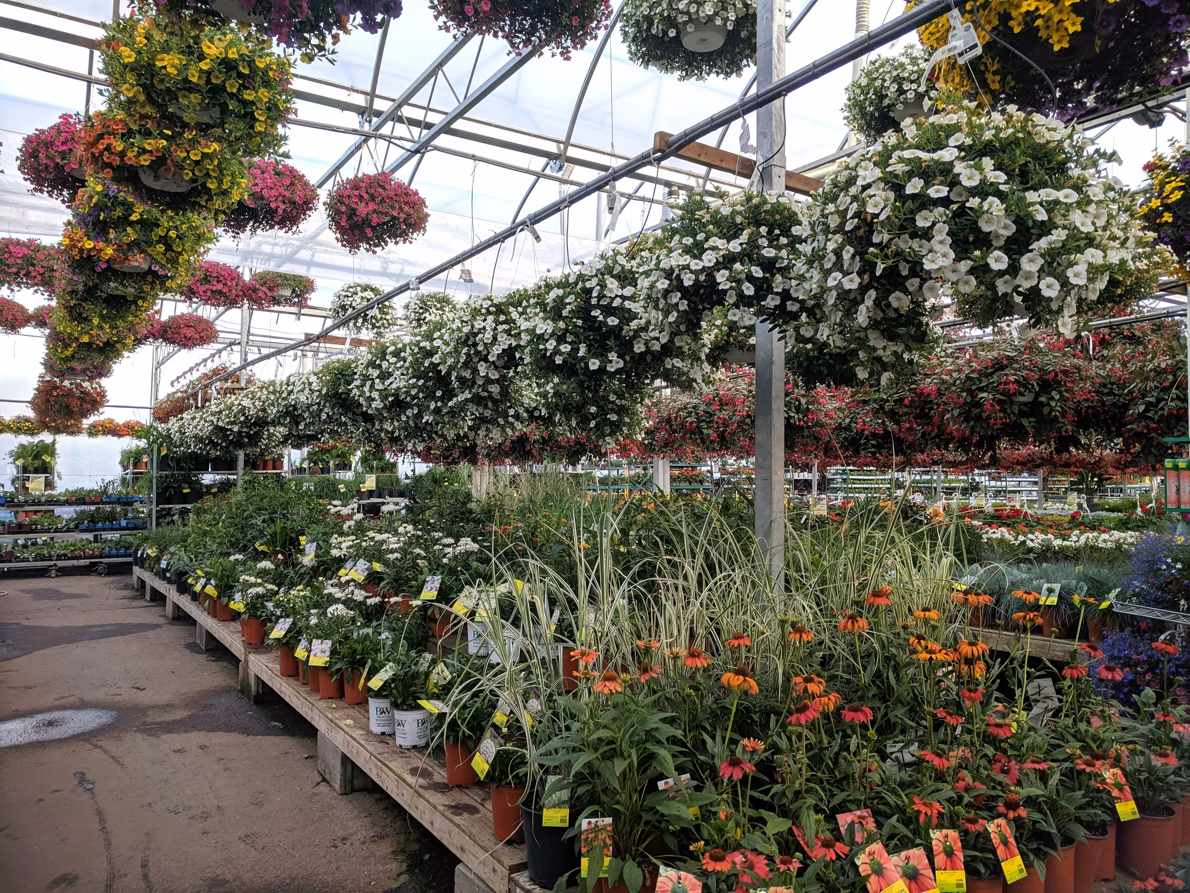 Plant nursery greenhouse